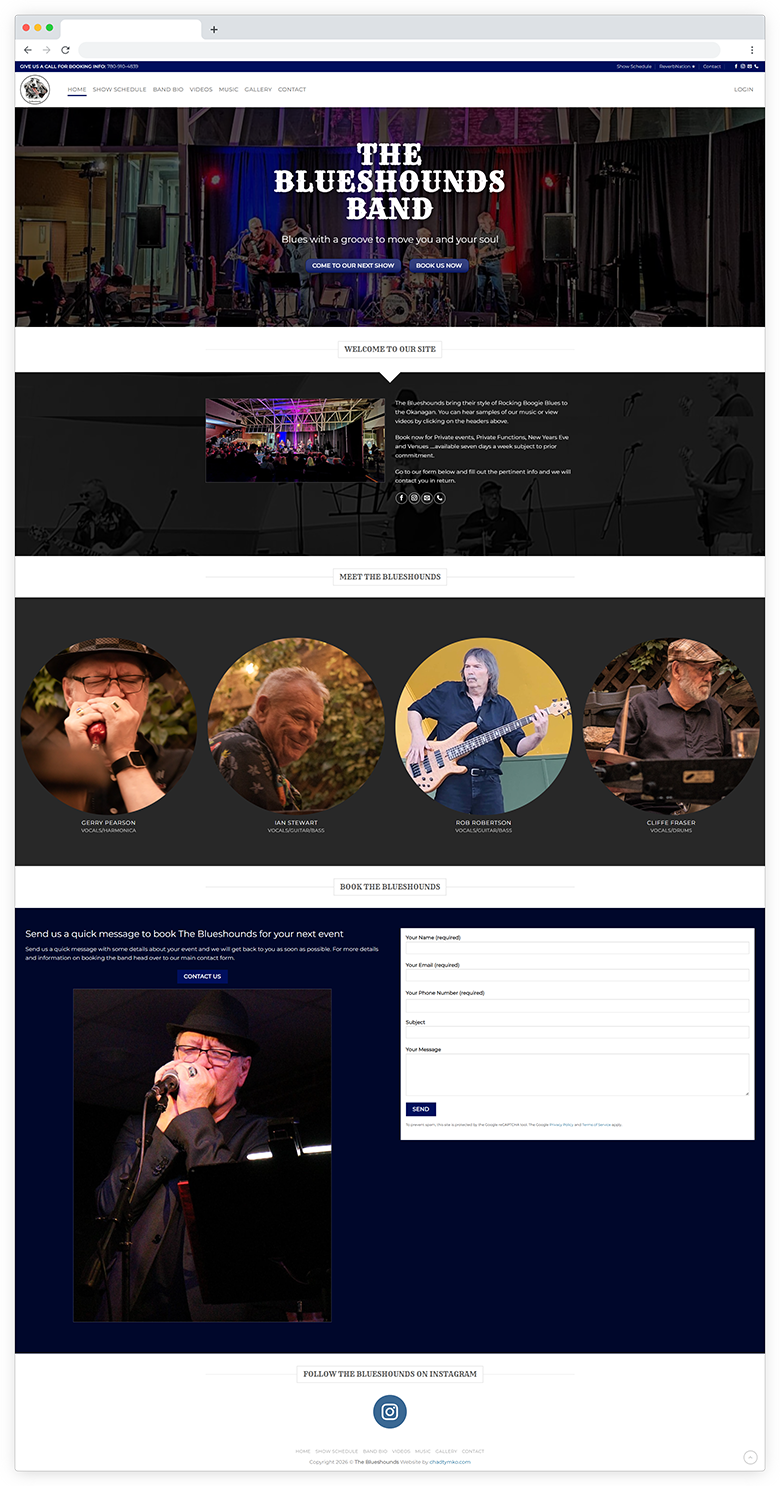 The BluesHounds Band